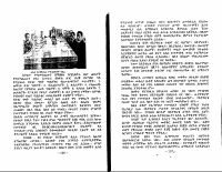 fiveshee2-2.PDF